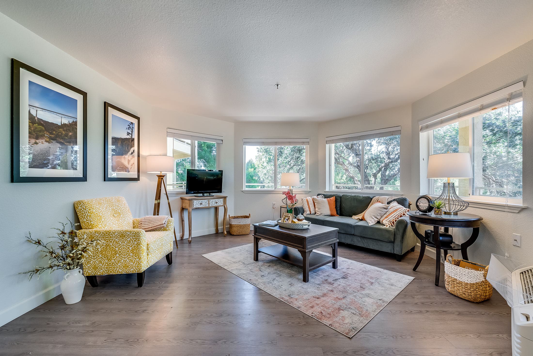 Two bedroom apartment living room Auburn